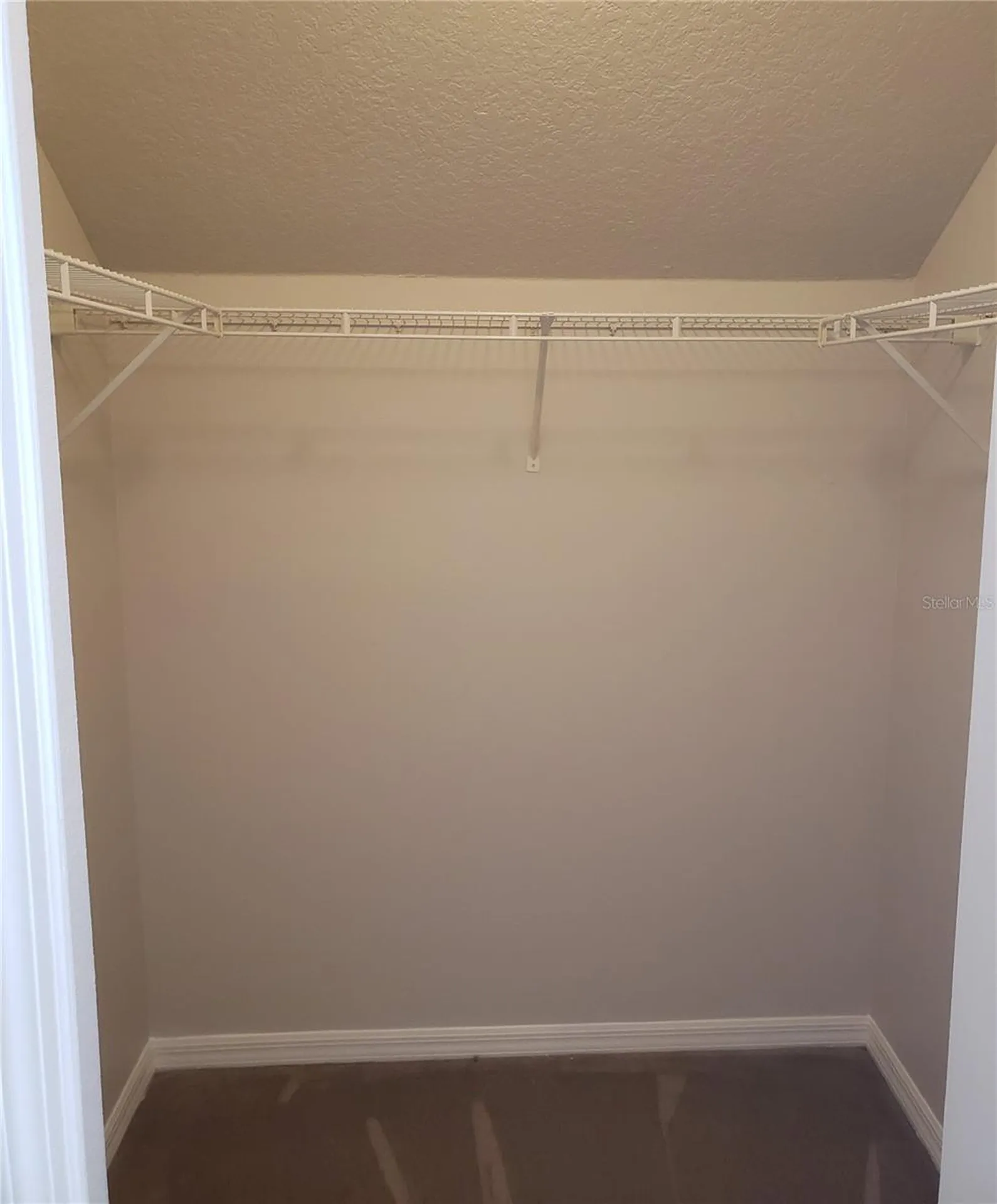 15114 Deer Meadow Drive Lutz FL 33559