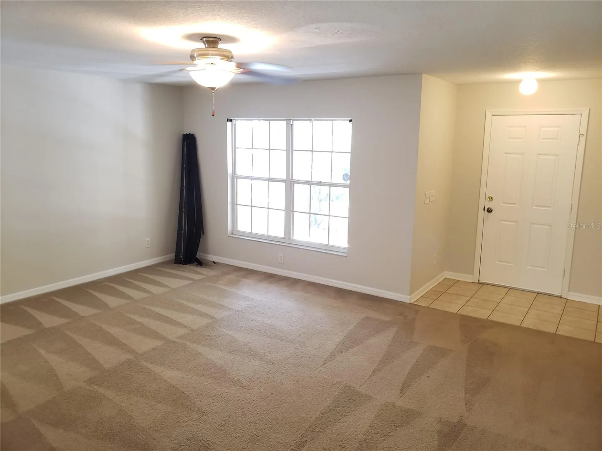 15114 Deer Meadow Drive Lutz FL 33559