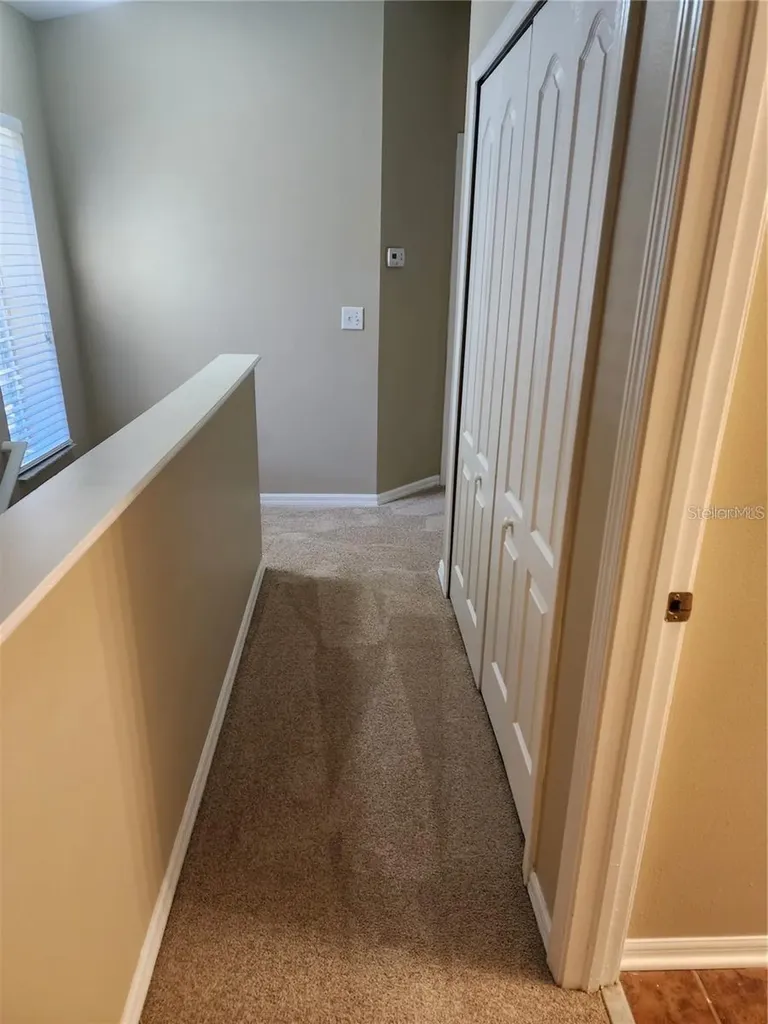 15924 Fishhawk Creek Lane Lithia FL 33547