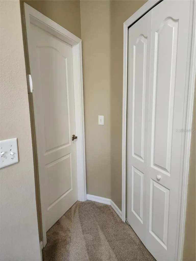 15924 Fishhawk Creek Lane Lithia FL 33547