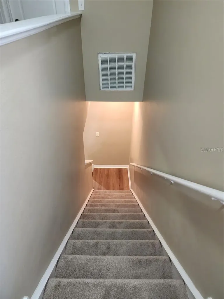 15924 Fishhawk Creek Lane Lithia FL 33547
