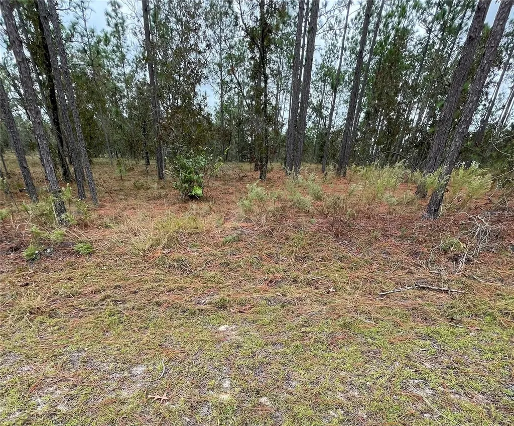 SE 133rd Avenue Dunnellon FL 34431