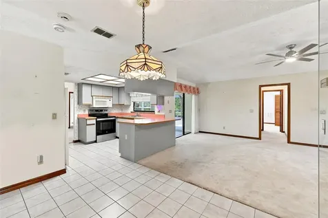 10028 Kenda Drive Riverview FL 33578