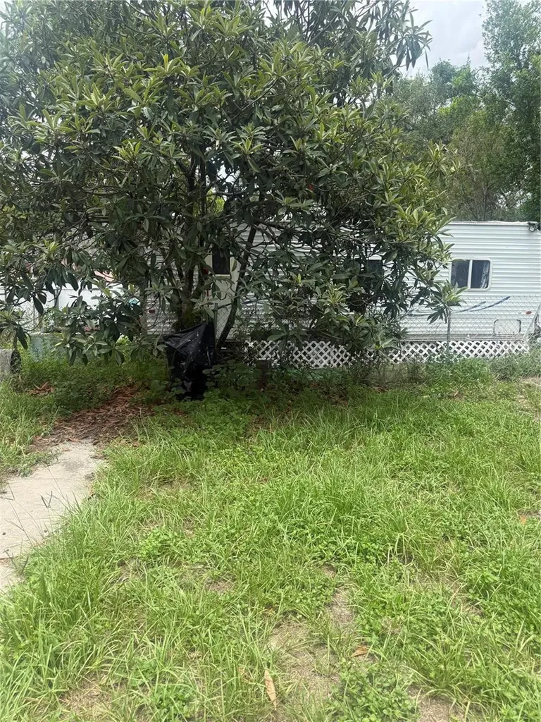3012 N Albany Avenue Tampa FL 33607