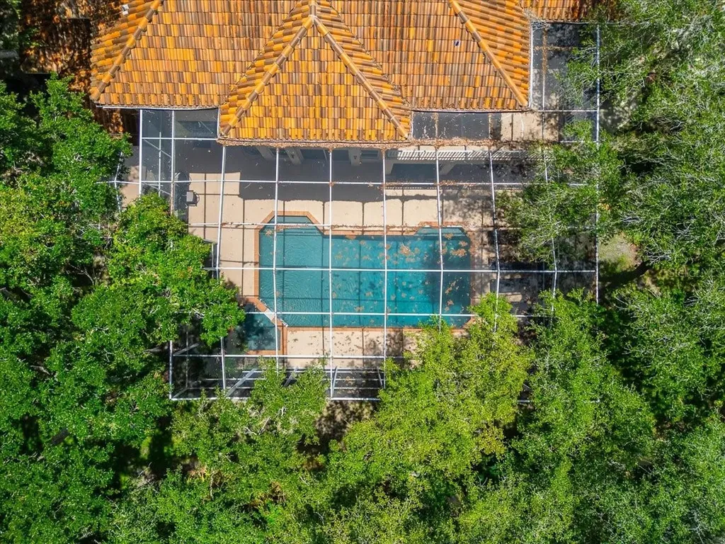 15707 Cochester Road Tampa FL 33647