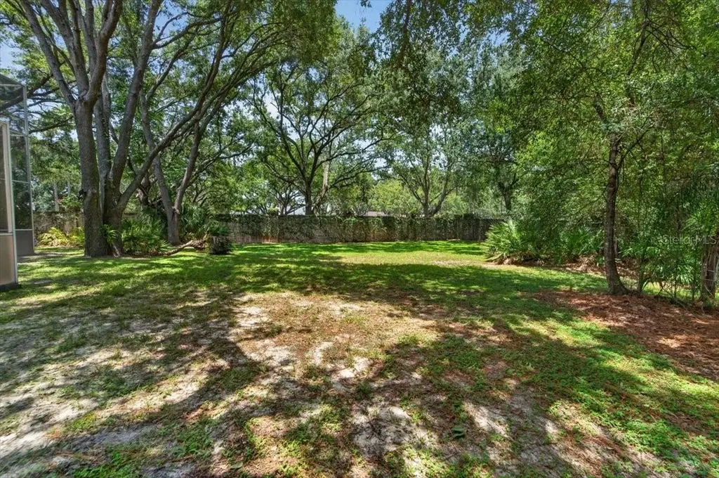 15707 Cochester Road Tampa FL 33647