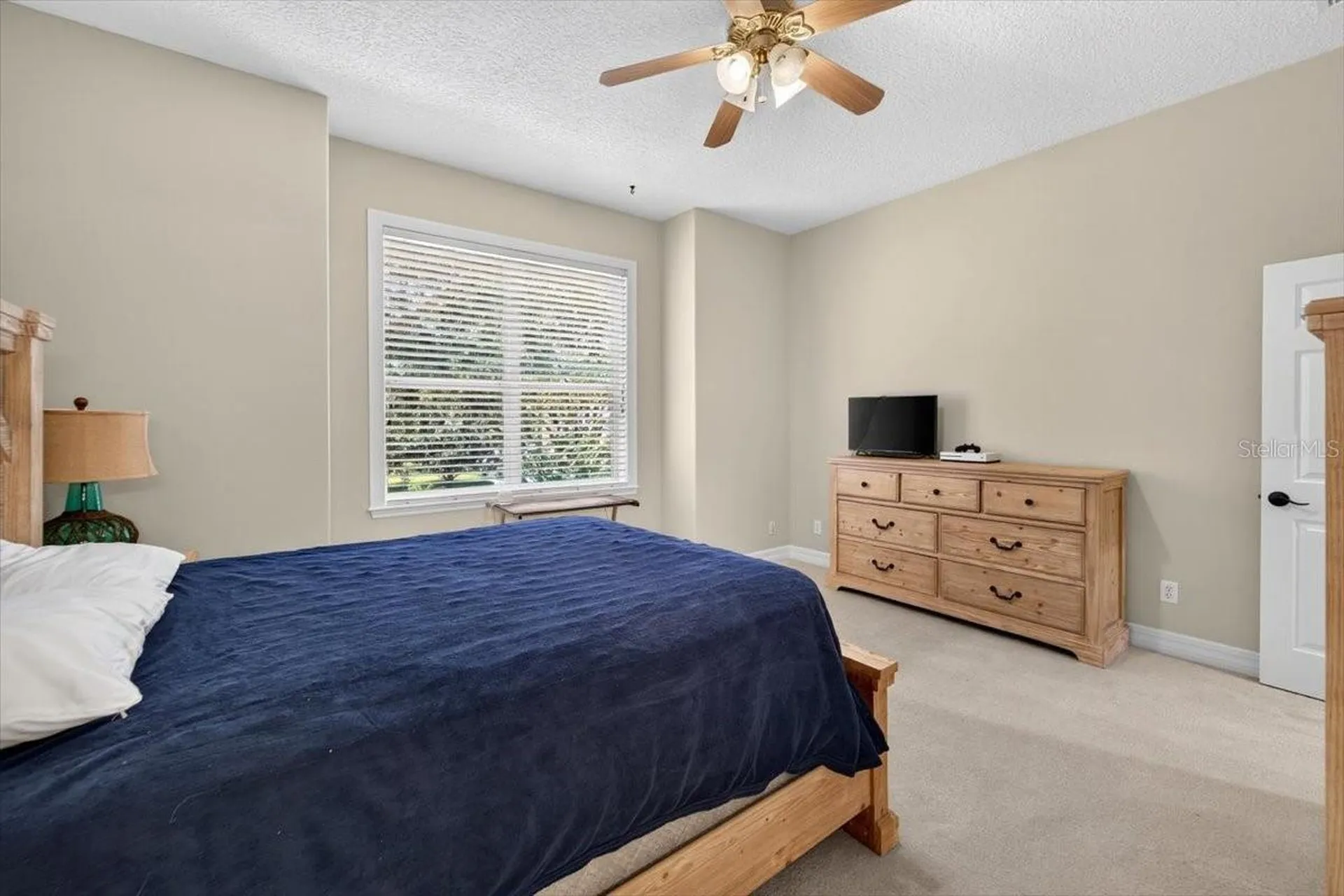 15707 Cochester Road Tampa FL 33647