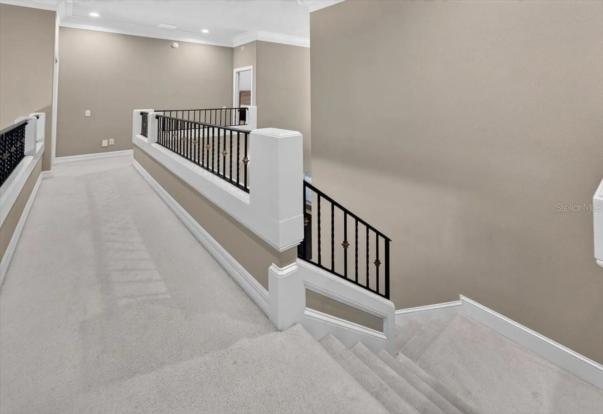15707 Cochester Road Tampa FL 33647