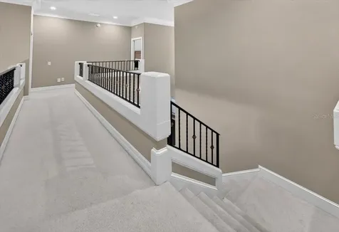 15707 Cochester Road Tampa FL 33647