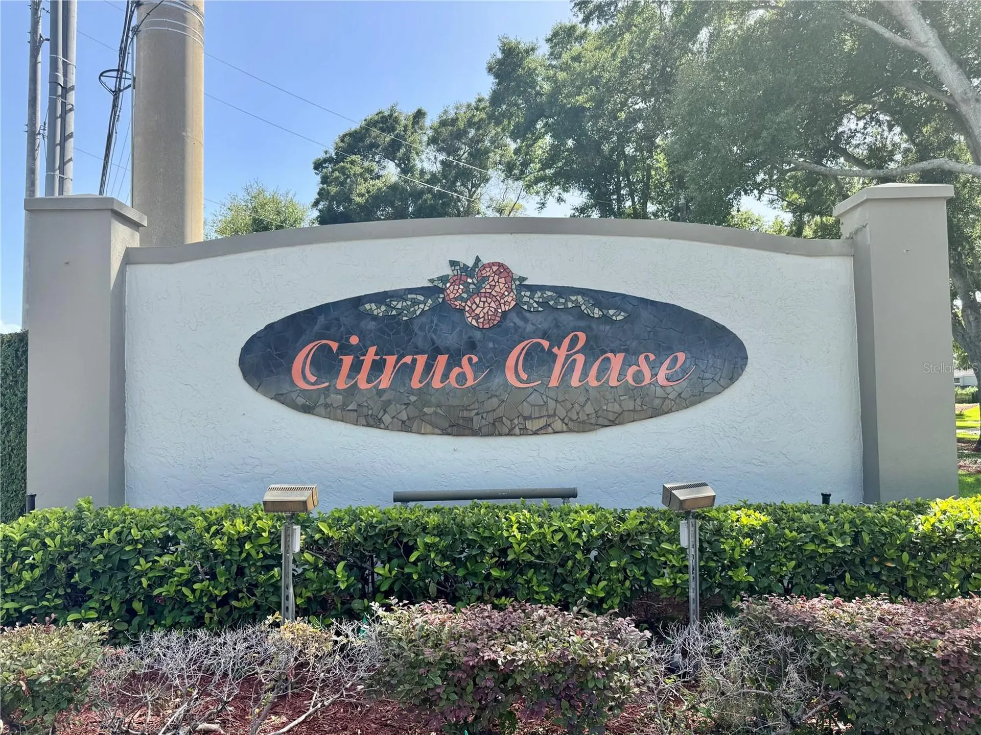 8381 Citrus Chase Drive Orlando FL 32836