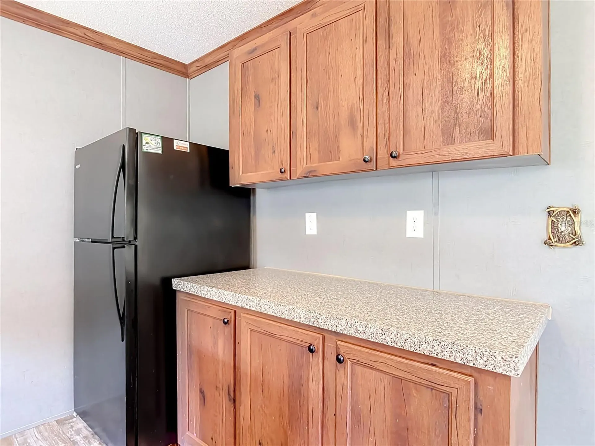 40628 Palm Drive Eustis FL 32736