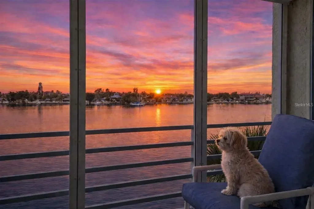 7984 Sailboat Key Boulevard S St Petersburg FL 33707