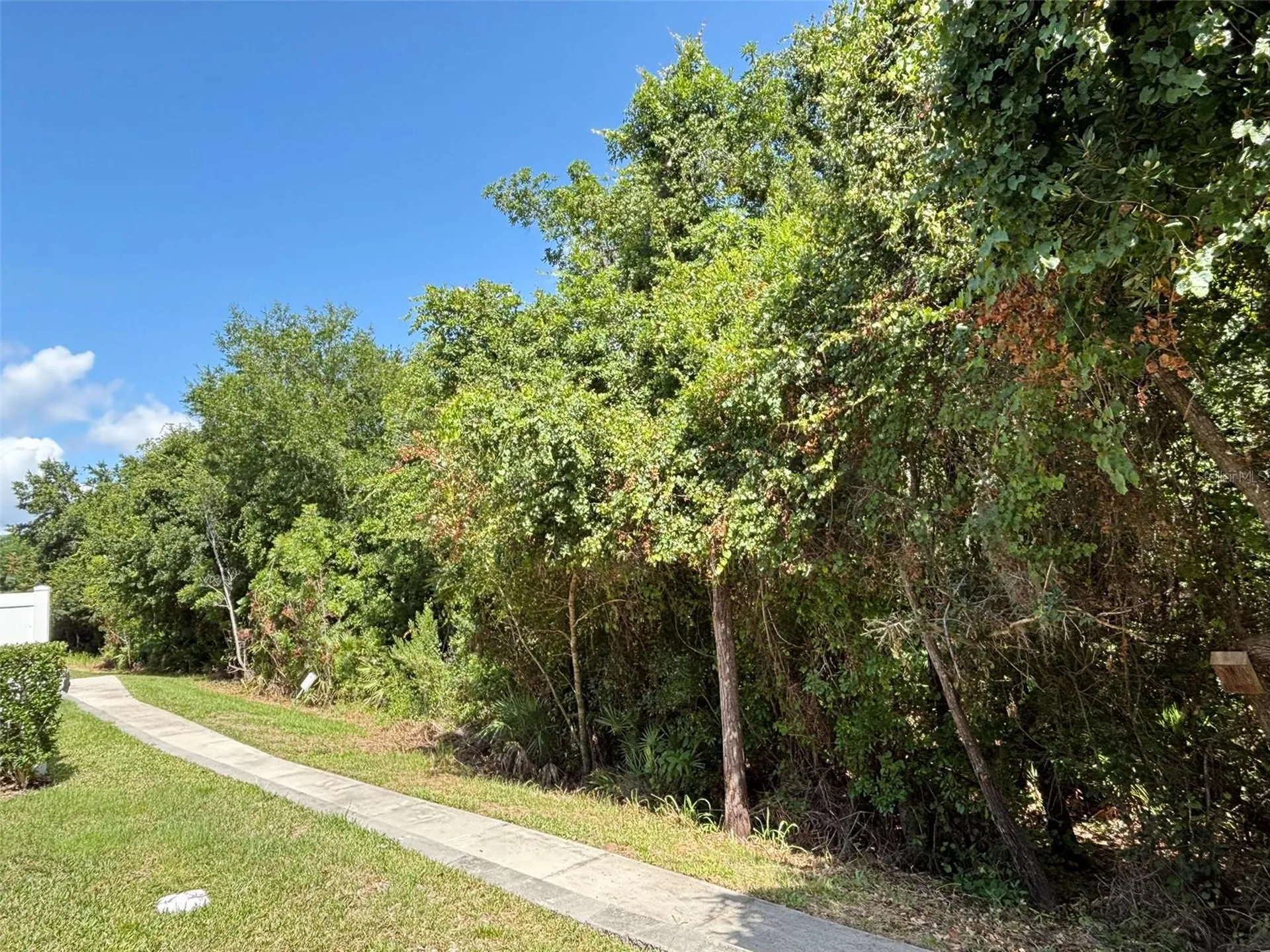 4581 Sparkling Shell Avenue Kissimmee FL 34746