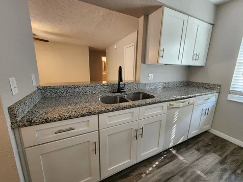 221 Loch Low Drive Sanford FL 32773