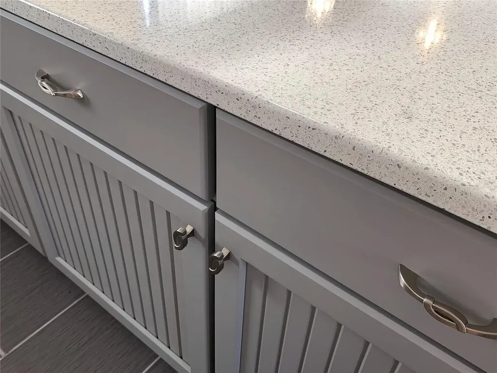 896 Radclife Berea Place The Villages FL 32162