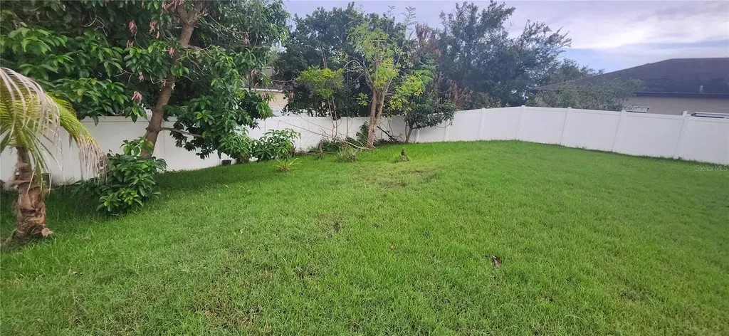 1424 Main Street Valrico FL 33594