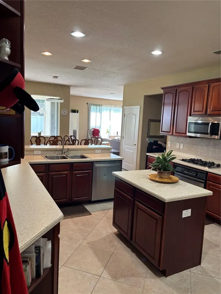 307 Carriage Oak Place Seffner FL 33584