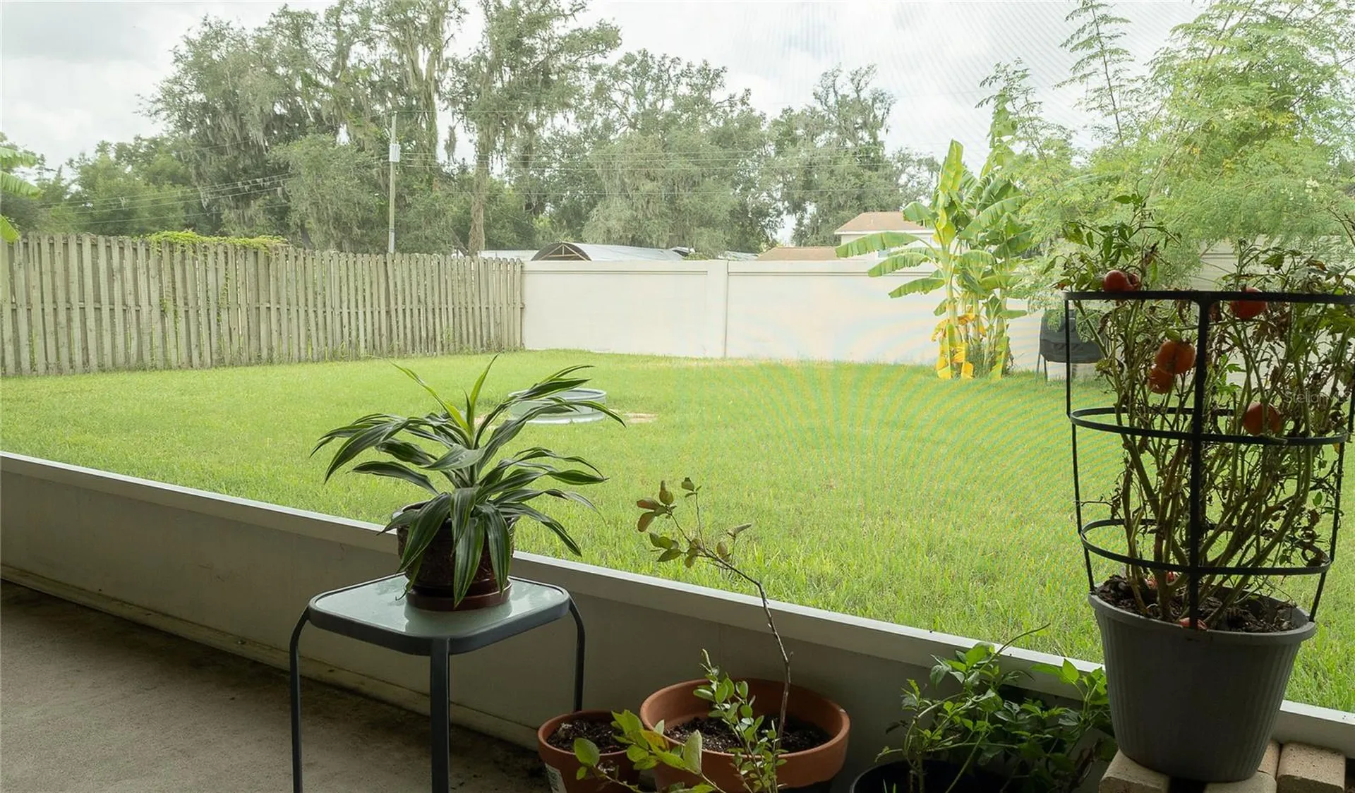 307 Carriage Oak Place Seffner FL 33584