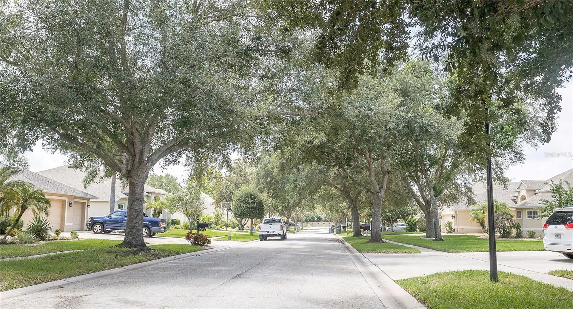 307 Carriage Oak Place Seffner FL 33584
