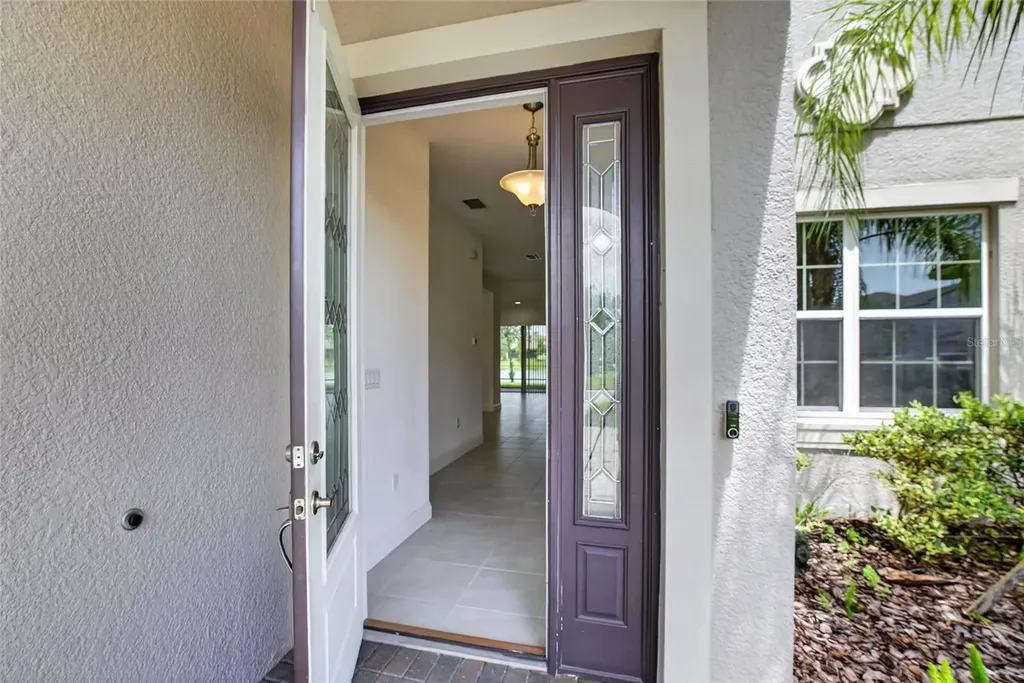 31142 Lindentree Drive Wesley Chapel FL 33543
