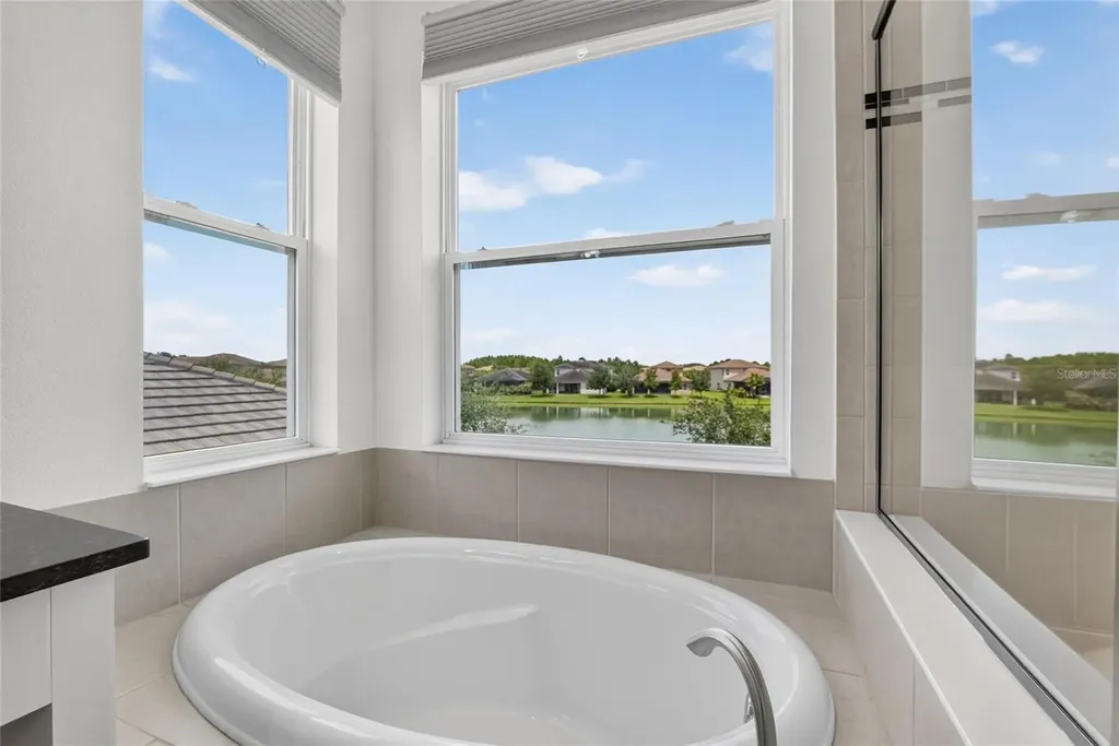 31142 Lindentree Drive Wesley Chapel FL 33543
