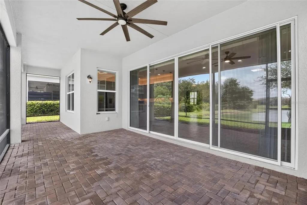 31142 Lindentree Drive Wesley Chapel FL 33543