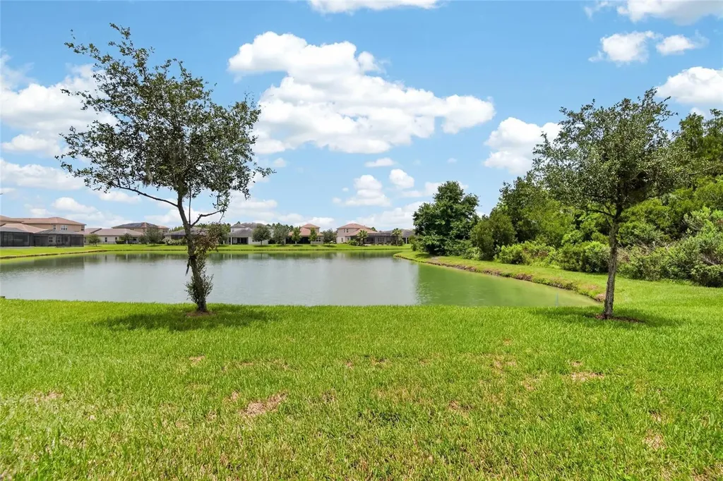 31142 Lindentree Drive Wesley Chapel FL 33543
