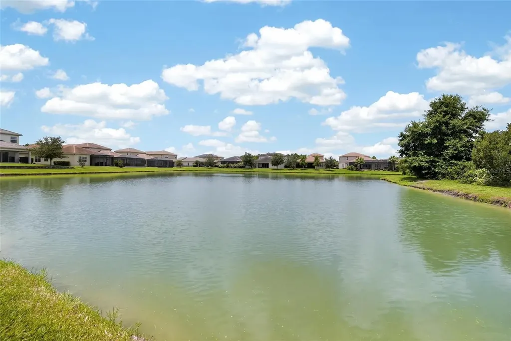 31142 Lindentree Drive Wesley Chapel FL 33543
