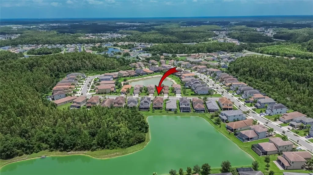 31142 Lindentree Drive Wesley Chapel FL 33543