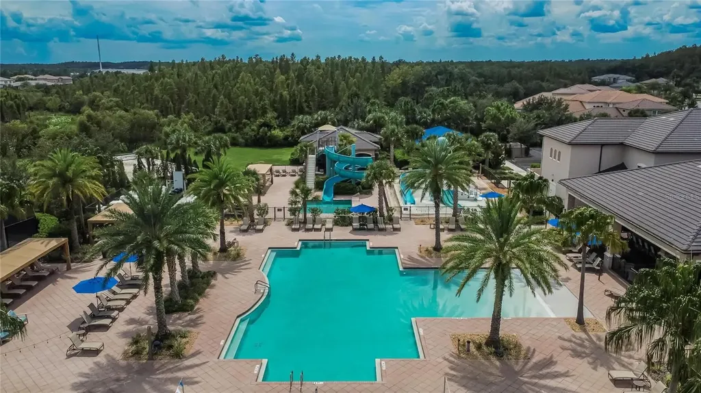 31142 Lindentree Drive Wesley Chapel FL 33543