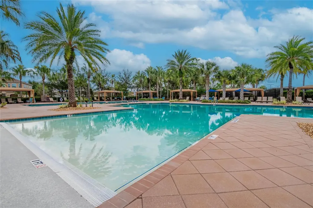31142 Lindentree Drive Wesley Chapel FL 33543