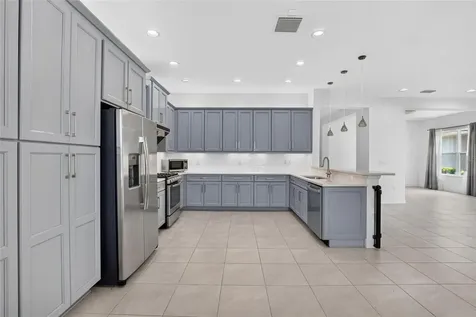 31142 Lindentree Drive Wesley Chapel FL 33543