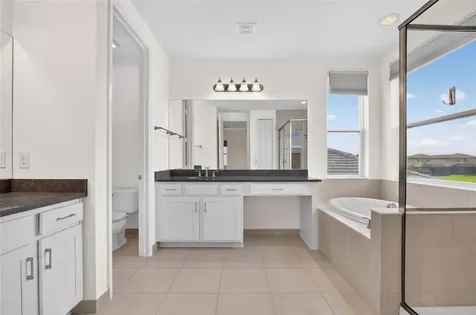 31142 Lindentree Drive Wesley Chapel FL 33543