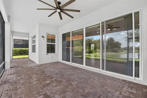 31142 Lindentree Drive Wesley Chapel FL 33543