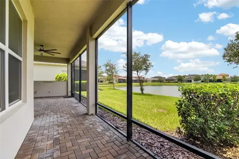 31142 Lindentree Drive Wesley Chapel FL 33543