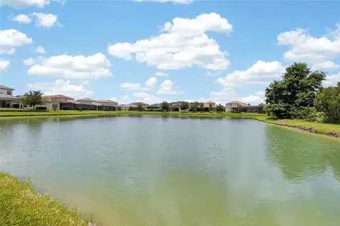 31142 Lindentree Drive Wesley Chapel FL 33543