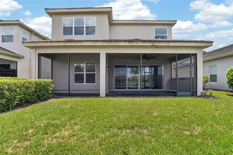 31142 Lindentree Drive Wesley Chapel FL 33543