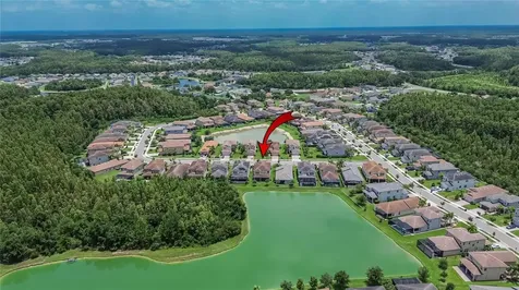 31142 Lindentree Drive Wesley Chapel FL 33543