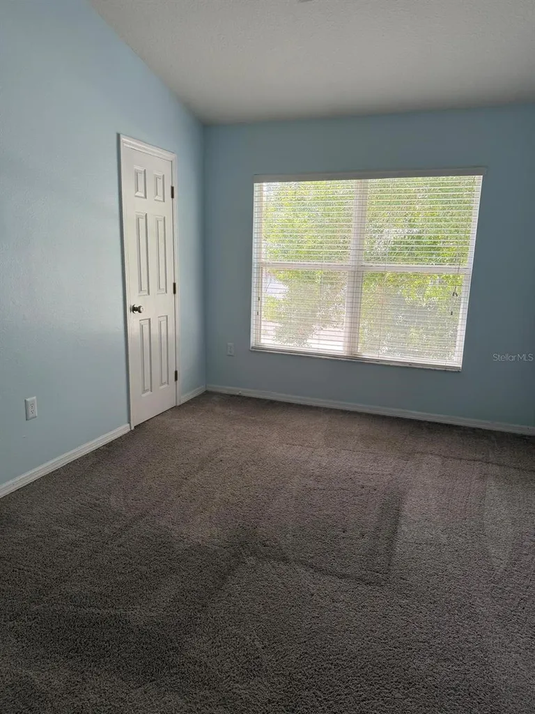 11503 Declaration Drive Tampa FL 33635