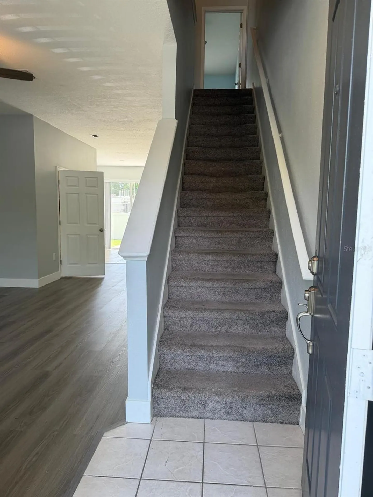 11503 Declaration Drive Tampa FL 33635