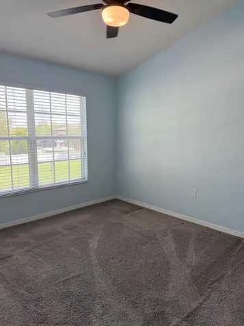 11503 Declaration Drive Tampa FL 33635