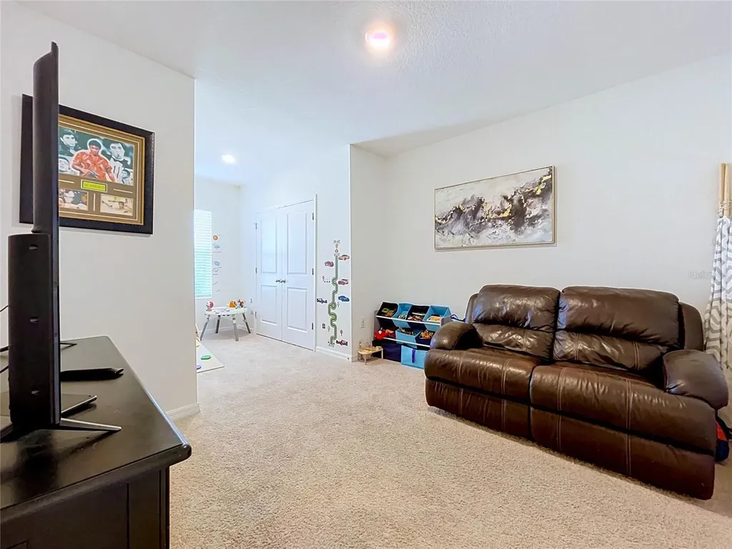 3221 Pleasant Willow Court Brandon FL 33511