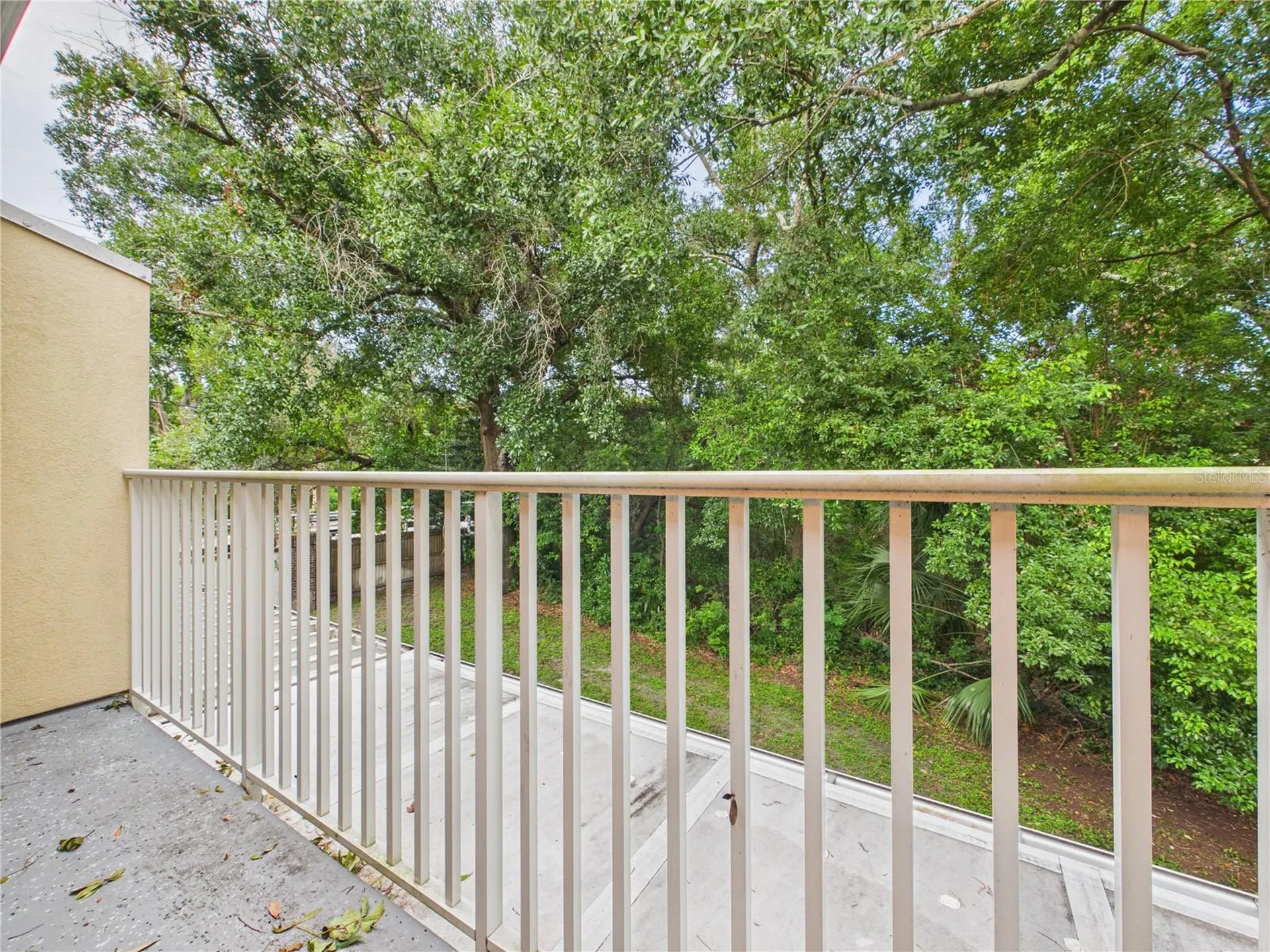 11239 Cedar Hollow Lane Tampa FL 33618