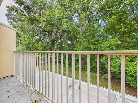 11239 Cedar Hollow Lane Tampa FL 33618