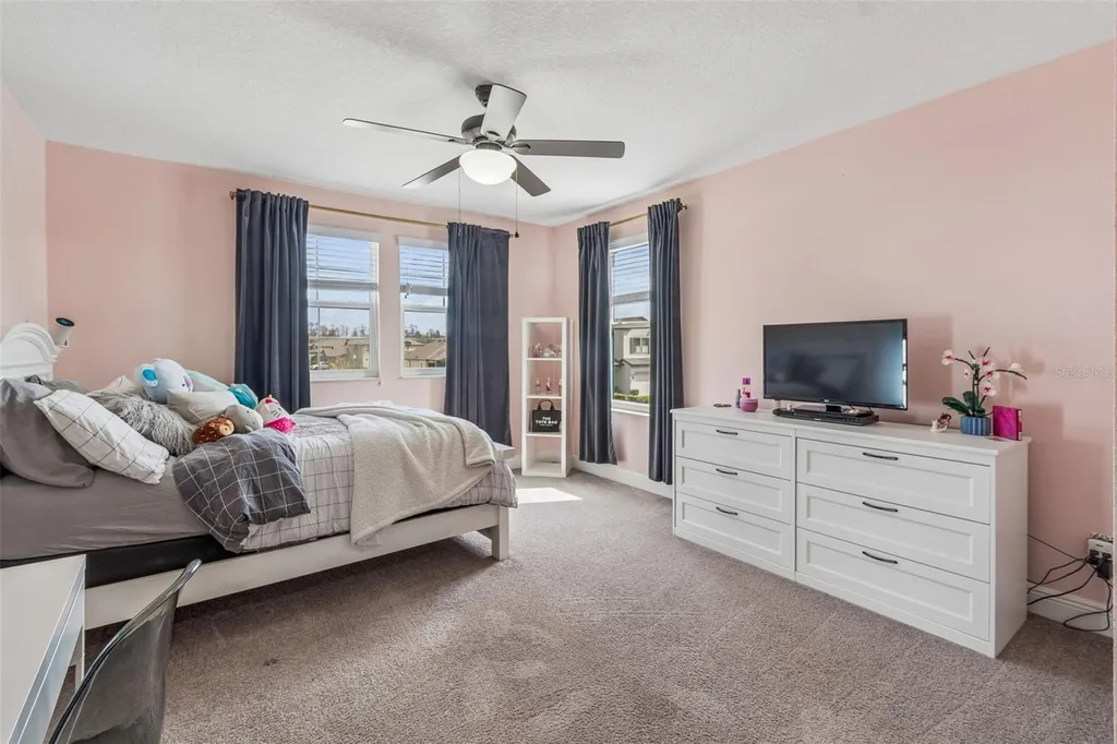 19328 Breynia Drive Lutz FL 33558