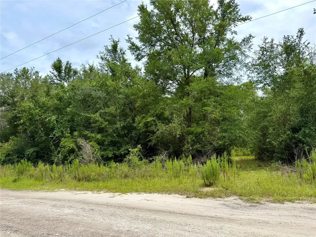 12790 NE 78 Terrace Bronson FL 32621