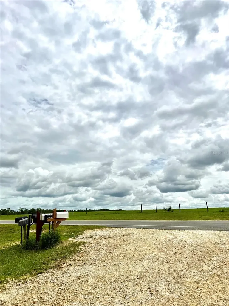 12790 NE 78 Terrace Bronson FL 32621