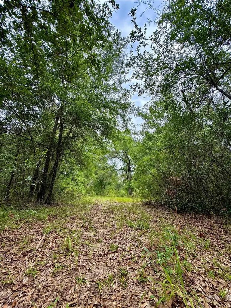 12790 NE 78 Terrace Bronson FL 32621