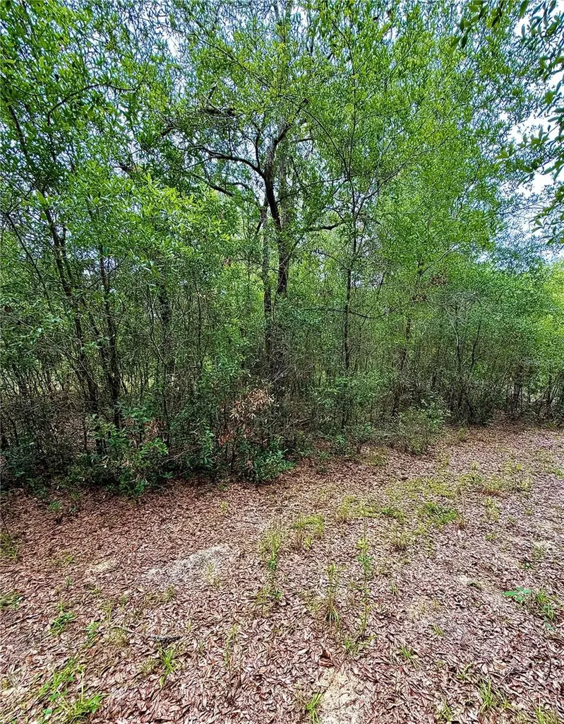 12790 NE 78 Terrace Bronson FL 32621