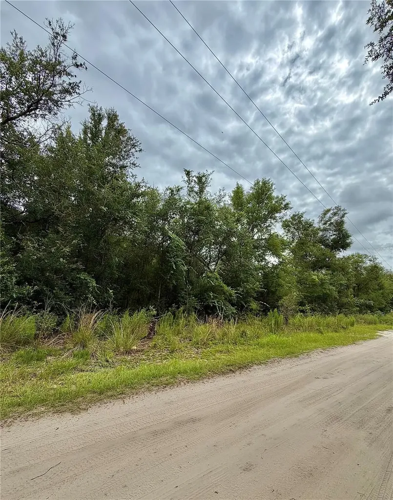 12790 NE 78 Terrace Bronson FL 32621